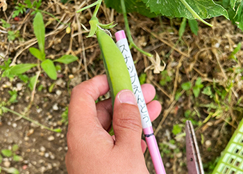 農業福祉 NPO法人東大阪障害者共同受注連絡会